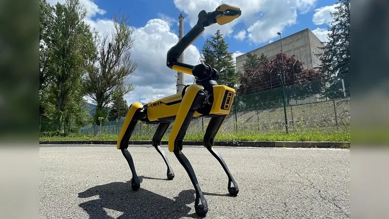 ENRESA