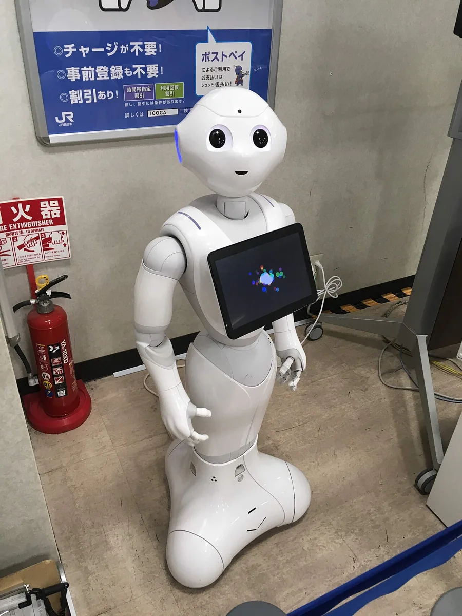 Pepper+